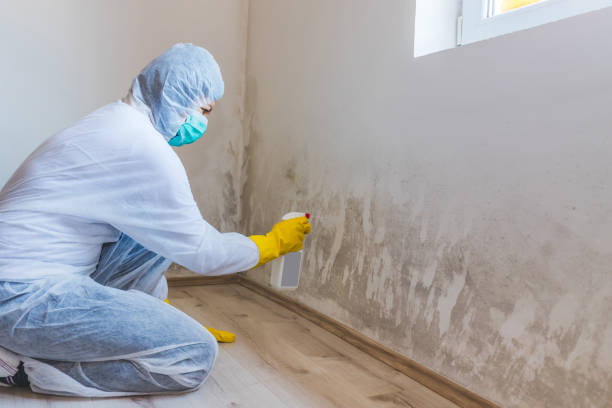 Licensed Crawl Space Mold Removal service in Wellesley Hills, MA - WQB Mold Removal
