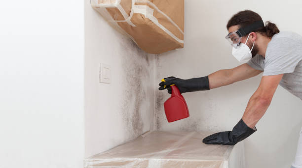 Professional Crawl Space Mold Removal technician working in Wellesley Hills, MA