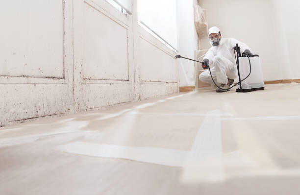 24/7 Emergency Crawl Space Mold Removal experts in Wellesley Hills, MA
