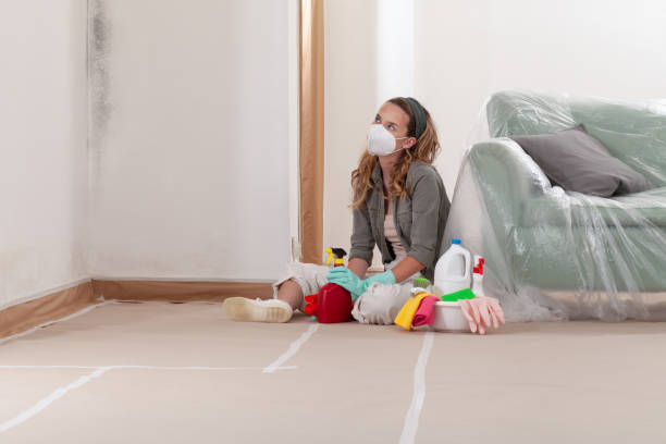 Reliable Crawl Space Mold Removal contractor in Wellesley Hills, MA by WQB Mold Removal